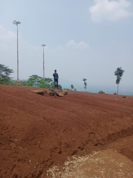 Di Jual lahan kebun produktif di BANDUNG TIMUR