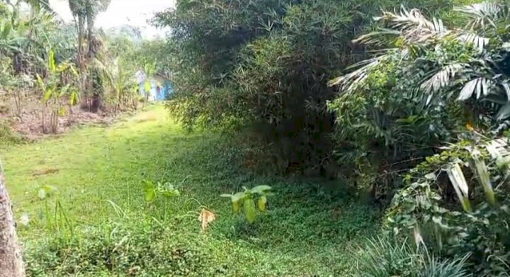 Jual Tanah Murah Strategis Di Wangun Sari Bandung Barat