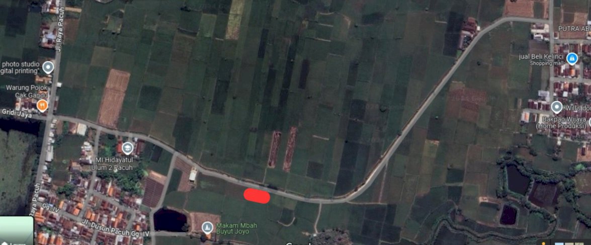 Jual tanah sawah tepi jalan