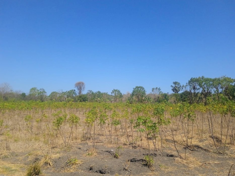 DI JUAL LAHAN STRATEGI UNTUK PETERNAKAN & PERTANIAN