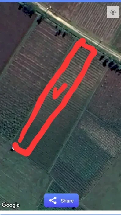 Di jual tanah luas 1250 m2 di Bojonegoro Jawa Timur