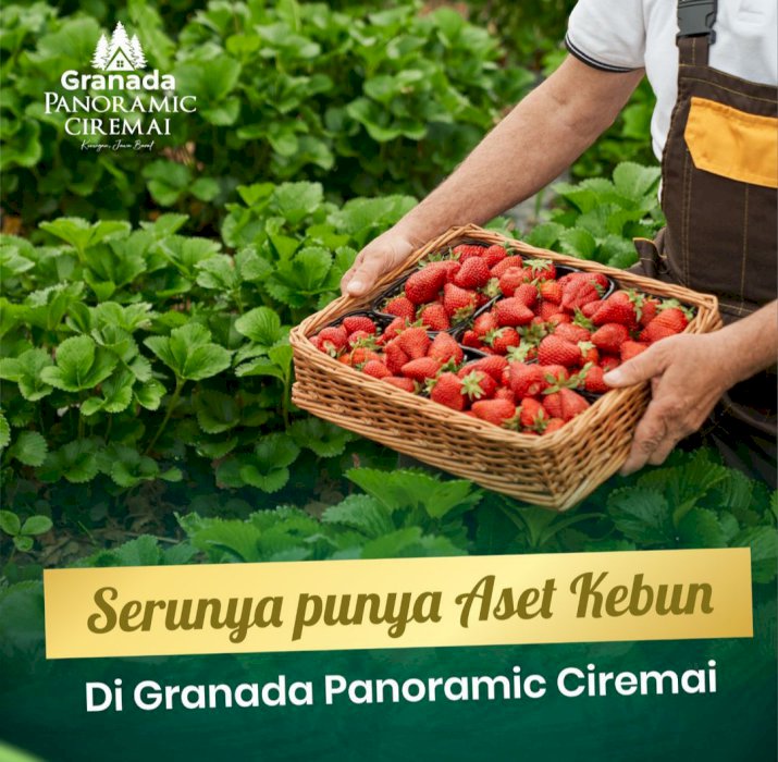 Kavling Agroeduwisata Strawberry di Kaki Gunung Ciremai