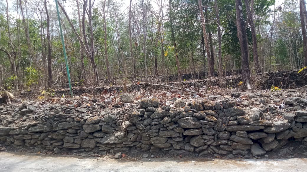 Tanah Murah hanya 500ribu per meter di Bantul dekat calon Kampus UIN