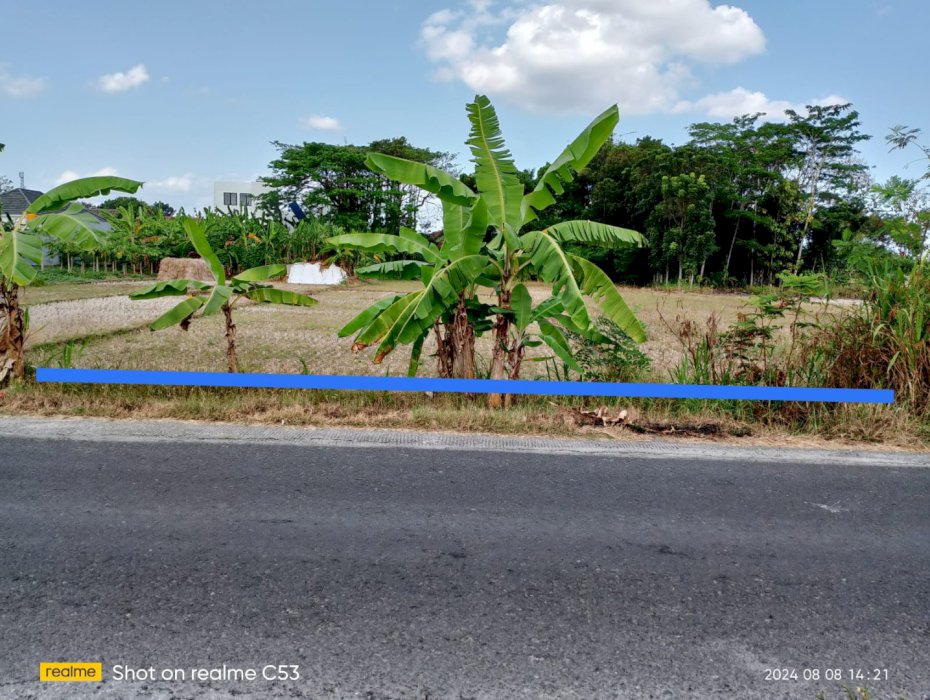 Dijual tanah pekarangan mangku aspal view sawah di bangunjiwo