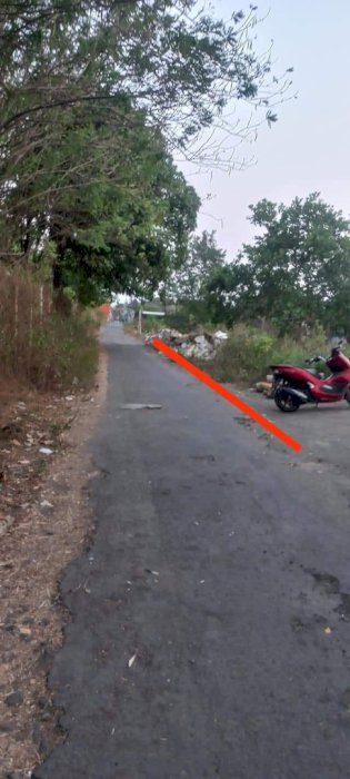 Tanah pekarngan mangku jalan aspal di Wedomartani