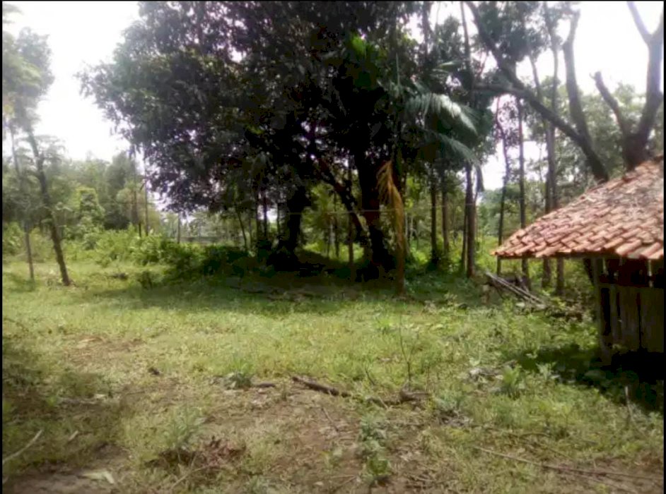 Dijual Tanah dengan luas 142.000 m2 SHM cileungsi bogor