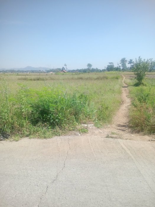 Tanah kavling CIHAMPELAS MASUK MOBIL