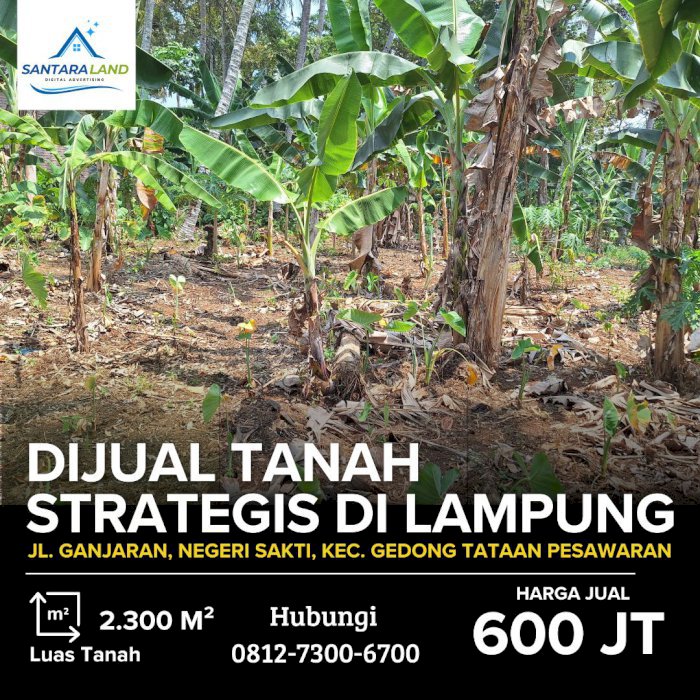 Dijual Tanah Strategis di Lampung