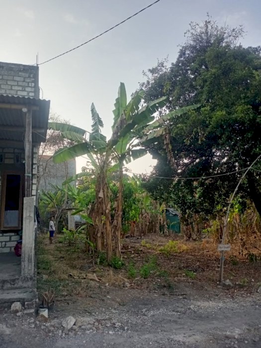 Di Jual Tanah Murah Lokasi Strategis Di Mojopurogede Gresik