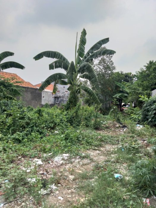 Jual Murah Tanah Kavling Harapan Jaya Bekasi Utara