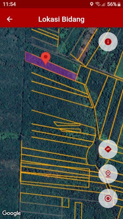 Tanah SHM satu hamparan kebun karet