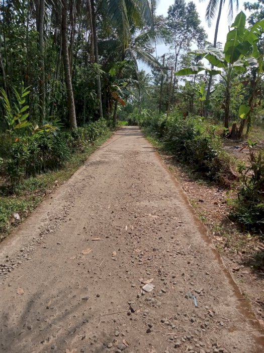 Di Jual Tanah Murah Lokasi Strategis Di Kreyo Randudongal Pemalang