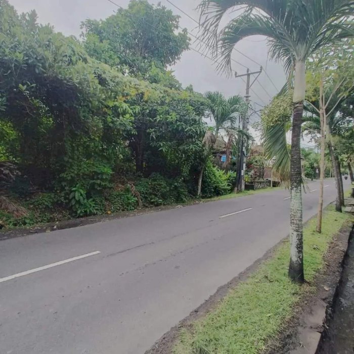 Di Jual Tanah Pinggir Jalan Utama Di Canggu Badung Bali