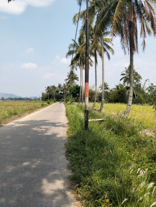 Jual tanah sawah pinggir danau Saguling Cihampelas