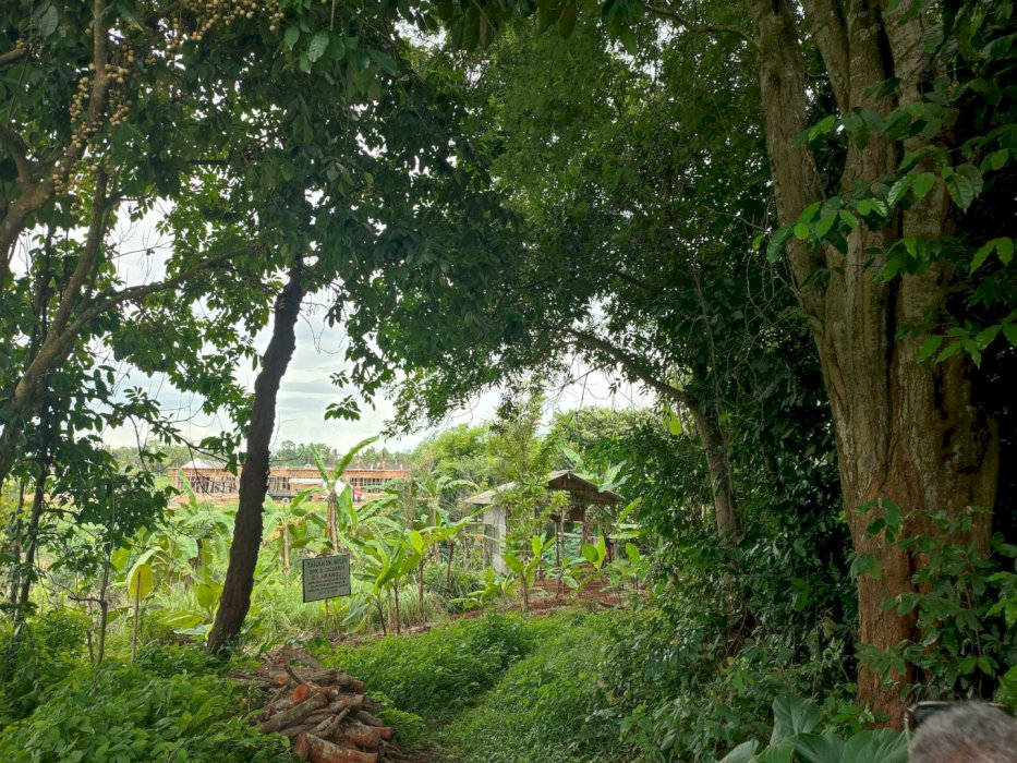 Dijual tanah Luas 4.000 m2 terletak di Cipocok Jaya Kota Serang Banten