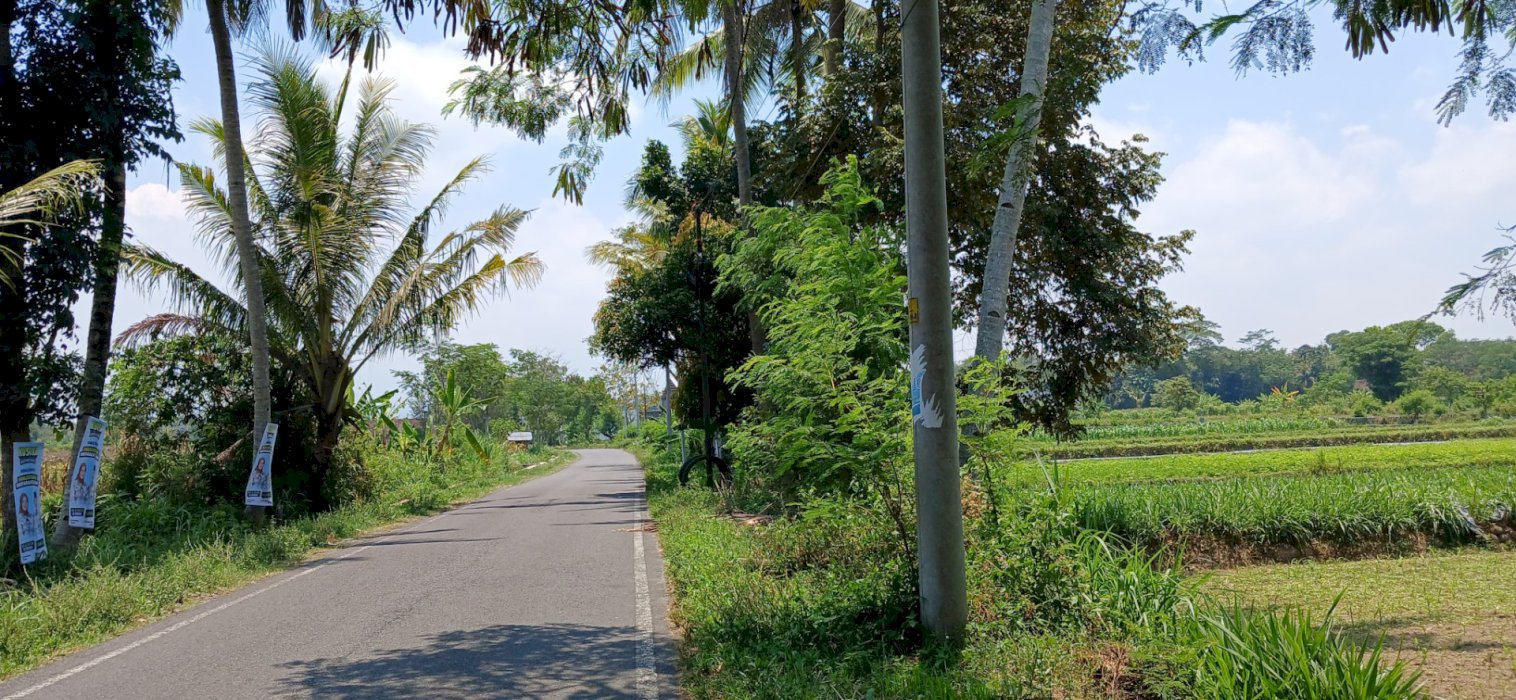 Tanah dengan luas 1600m2-an di dekat candi prambanan sleman