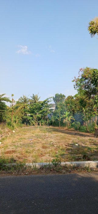 Jual Tanah Pekarangan Lokasi Strategis Dekat Kampus UMY Bantul