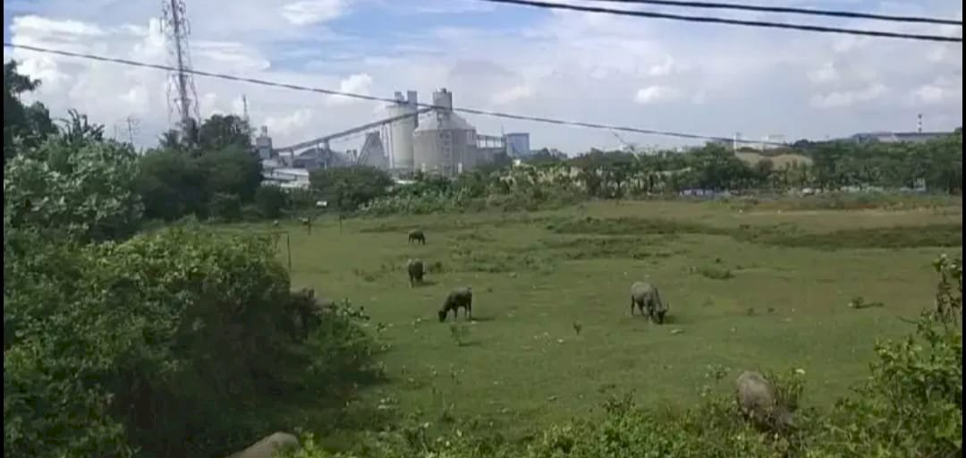 Tanah zona industri dan pergudangan.
