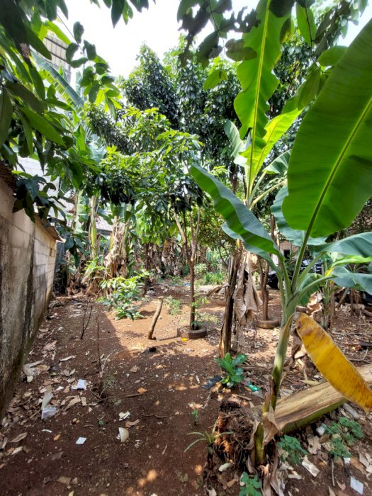 Tanah murah jual Cepat 230 m2 shm