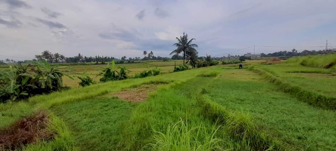 Tanah Strategis Dekat Pantai Nyanyi Tabanan Bali