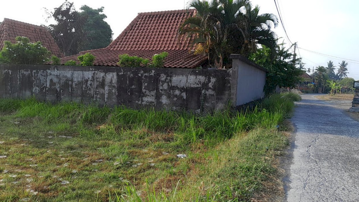 Tanah Di Pantai Kedungu