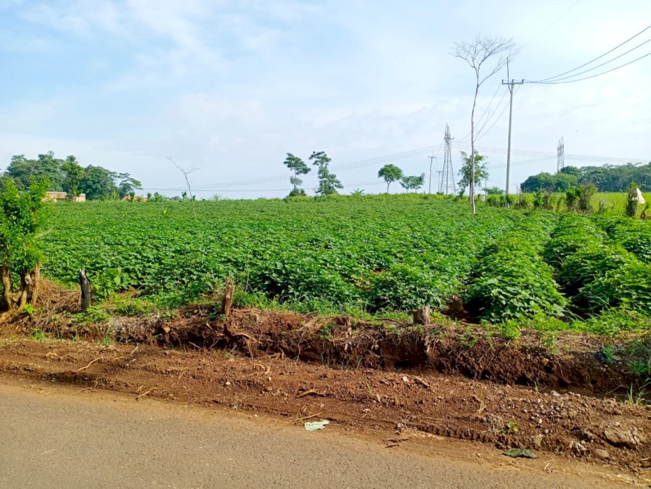 Dijual Tanah Strategis Bersertifikat di Lokasi Pinggir Jalan Cirebon