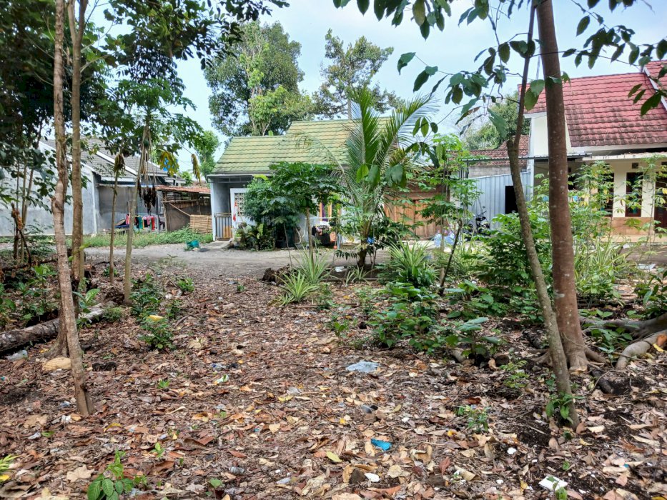 Di jual Tanah Kavling Luas 878 Meter Persegi Lokasi Dekat RSUD Sleman