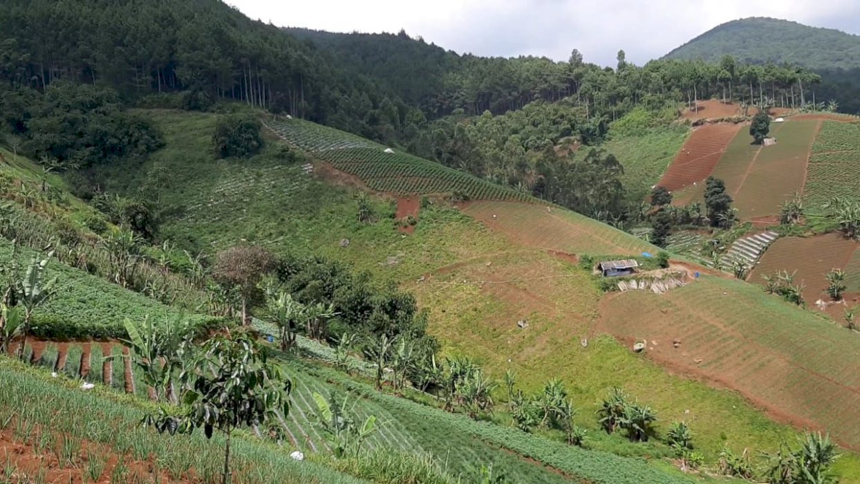 TANAH Kebun BERKELAS di UTARA BANDUNG