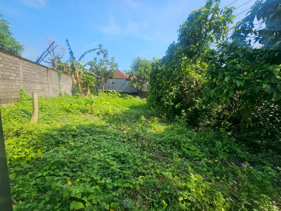 Di Jual Tanah Komersil Strategis Di Pererenan Canggu Bali