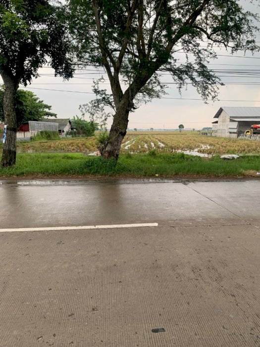Jual tanah strategis di pinggir jalan raya slawi jatibarang tegal