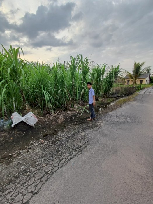 Dijual tanah strategis di Jl. Wahidin Binjai
