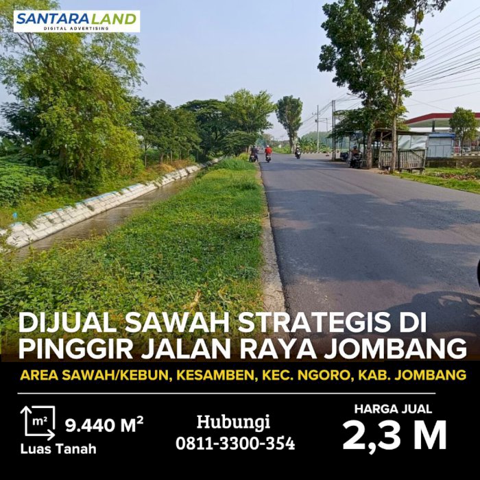 Dijual Sawah Strategis di Pinggir Jalan Raya Jombang - Ngoro - Malang