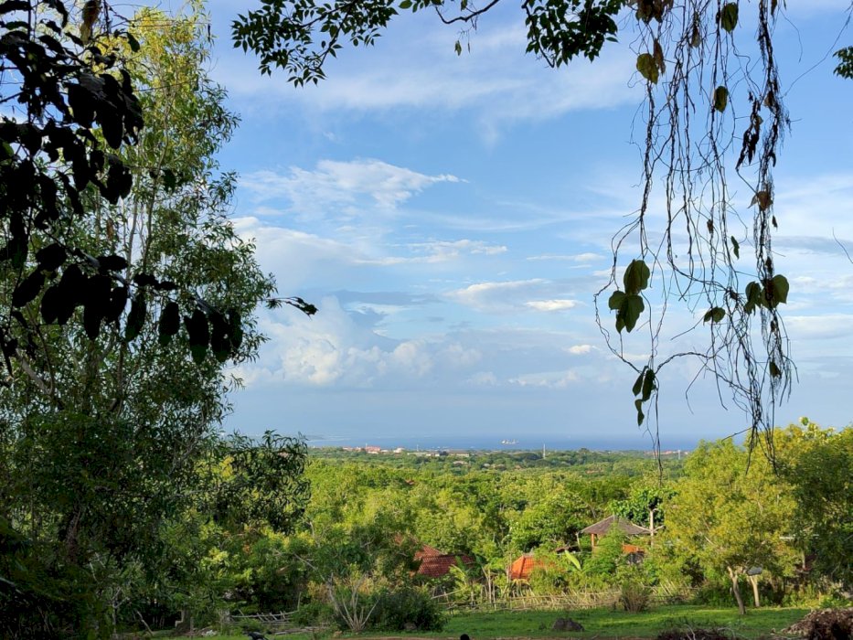 Jual Tanah 41,8 hektar  sawangan nusa dua kuta selatan badung bali