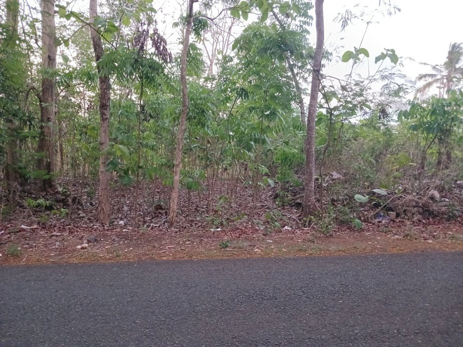 Jual tanah pekarangan di Pajangan Bantul Yogyakarta