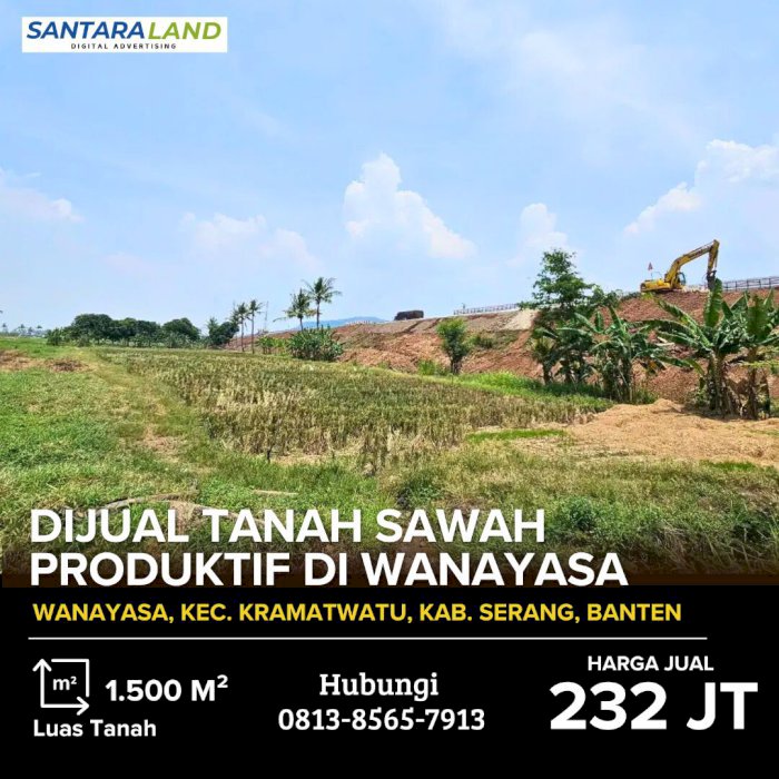 Dijual Tanah Sawah Produktif di Wanayasa, Kramatwatu, Serang