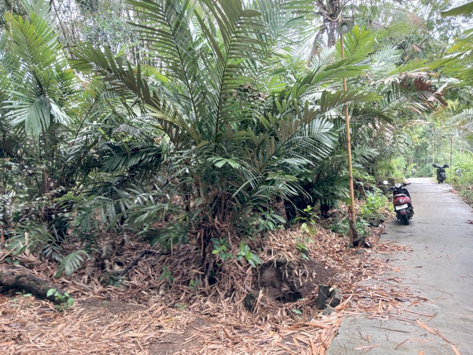 Di jual Tanah Pekarangan Luas 217 Meter Persegi Lokasi Strategis