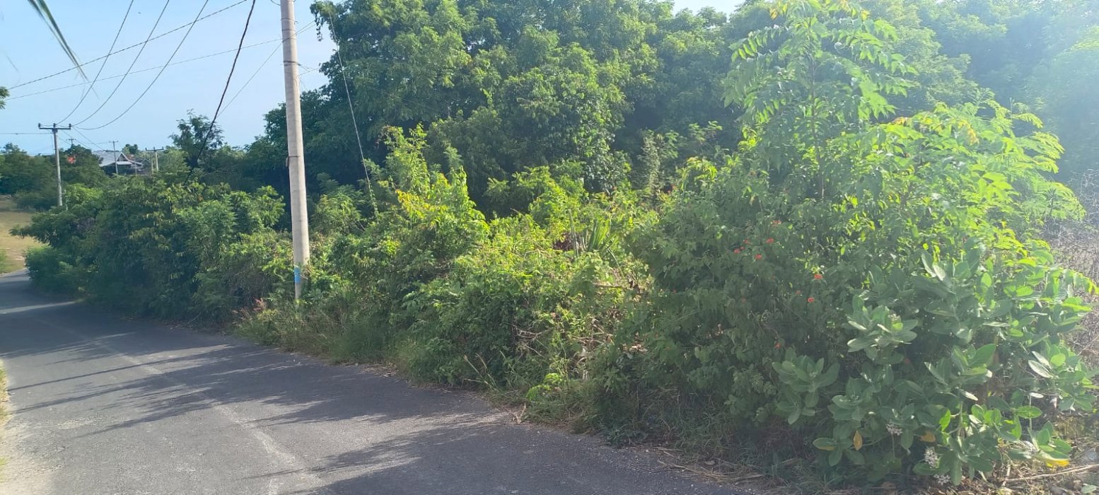 Di Jual Tanah  Lokasi Kuta Selatan Badung Bali