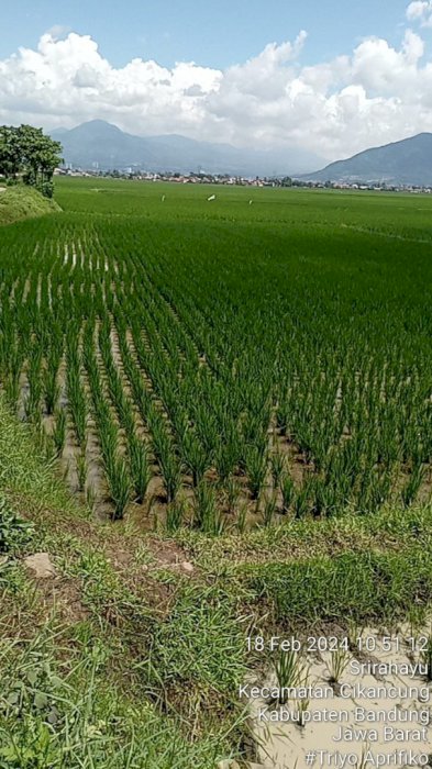 Jual Tanah Milik Pribadi Di Samping Jalan Citarik Baru Cibodas Bandung