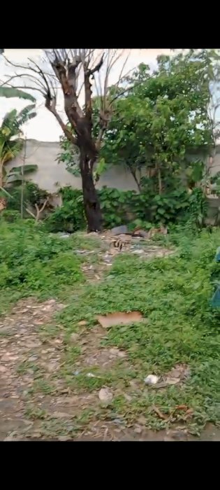 Jual tanah strategis dekat dengan tol bitung tanggerang