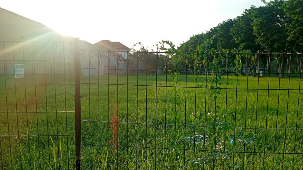 Dijual Tanah Raya Bukit Palma