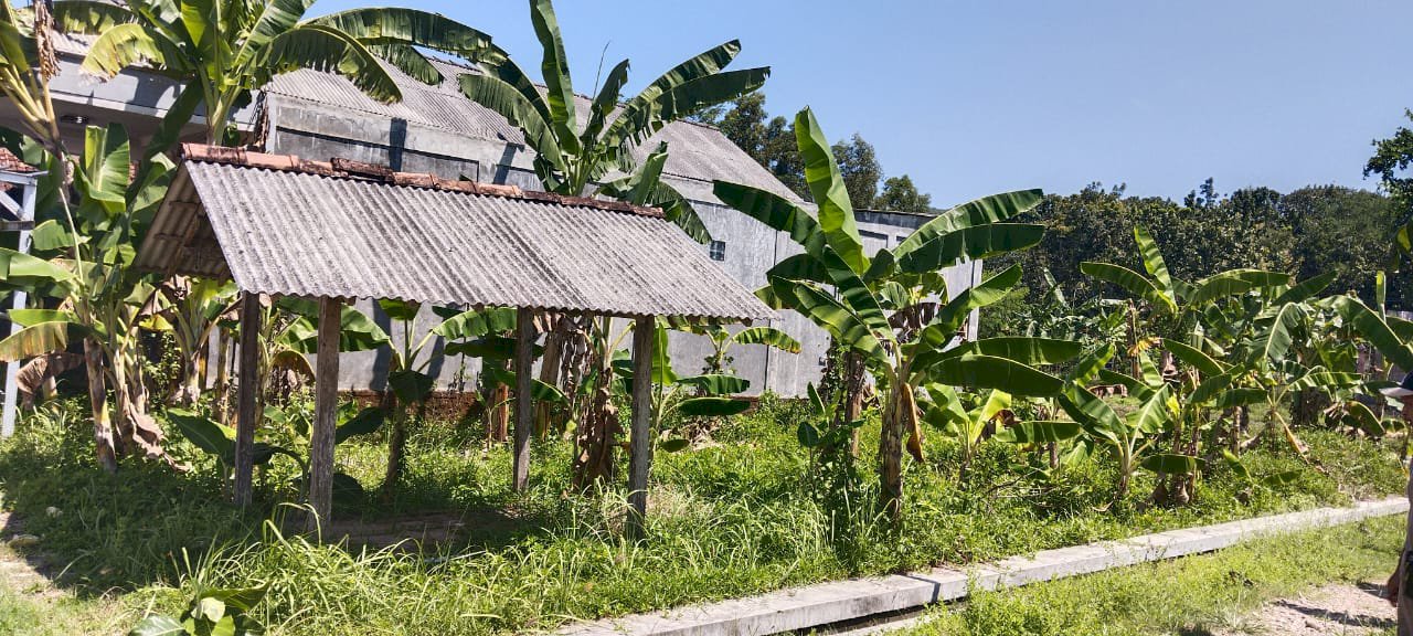 Dijual Tanah dengan luas 203 m2 Lokasi Strategis di pacitan Jawa Timur