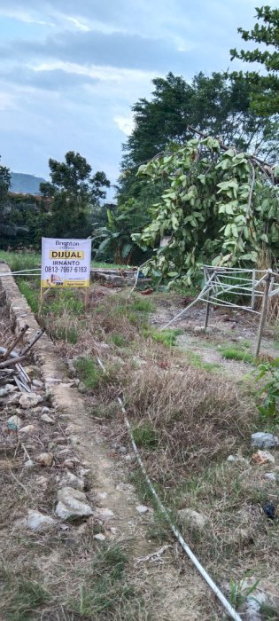DI JUAL TANAH DI JALAN PULAU SINGKEP GG DAMAI LAMPUNG SELATAN