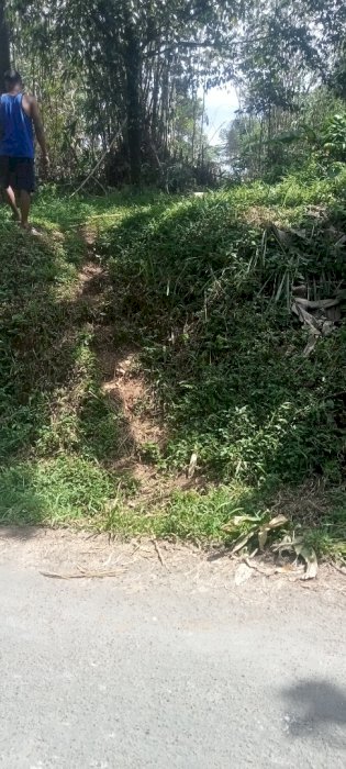 Nih ibu bapa tanah terbilang murah