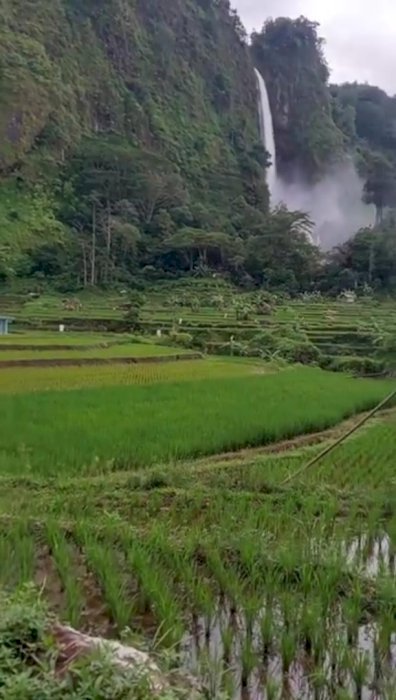 Sawah Murah Produktif Dekat Curug Citambur