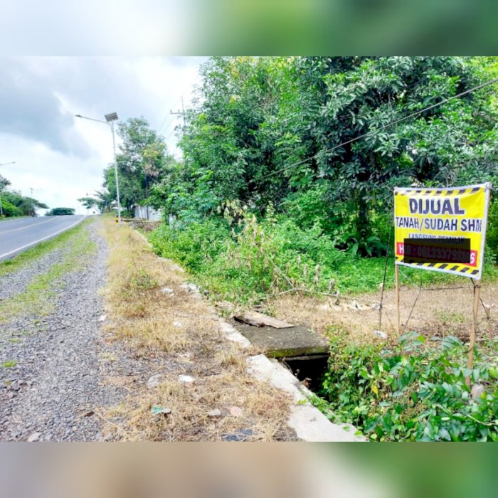 Jual Cepat Luas 336m2 Tanah dekat Raya Surabaya Madiun - Saradan