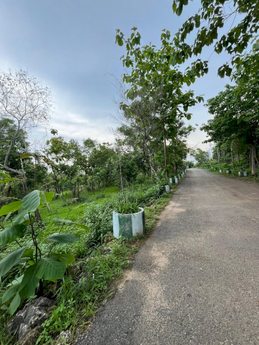 Tanah Murah Bagus Strategis Akses Mobil Luas 1.100 m2