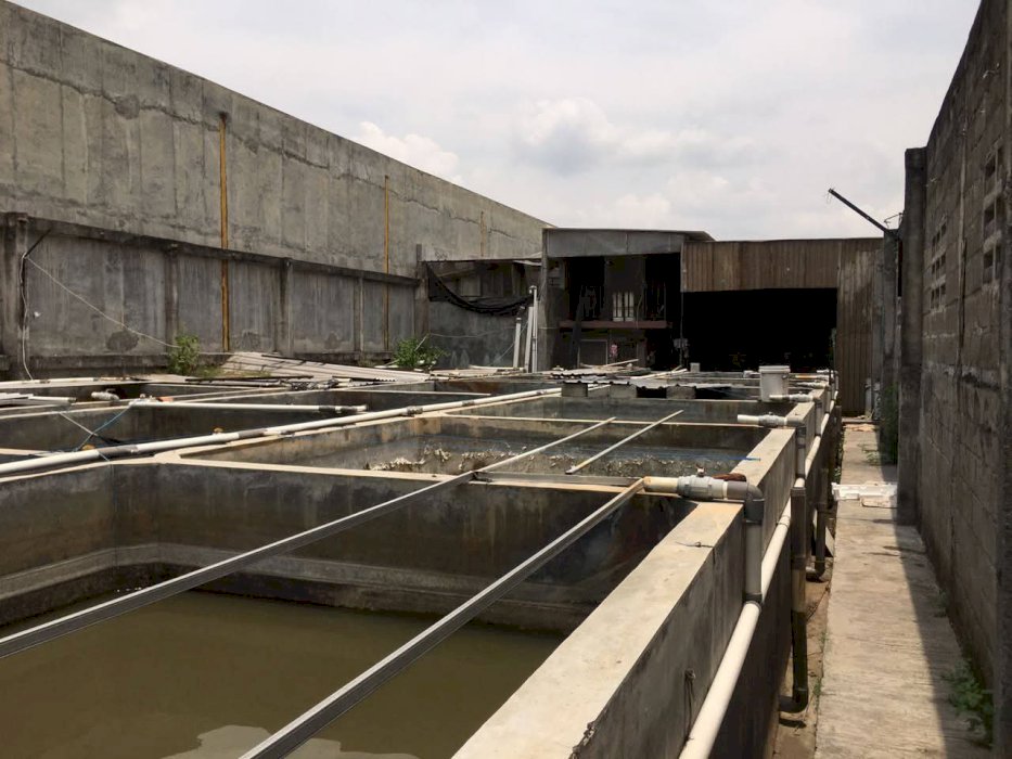 Di Jual tanah dan kolam cocok untuk investasi Grogol Sukoharjo