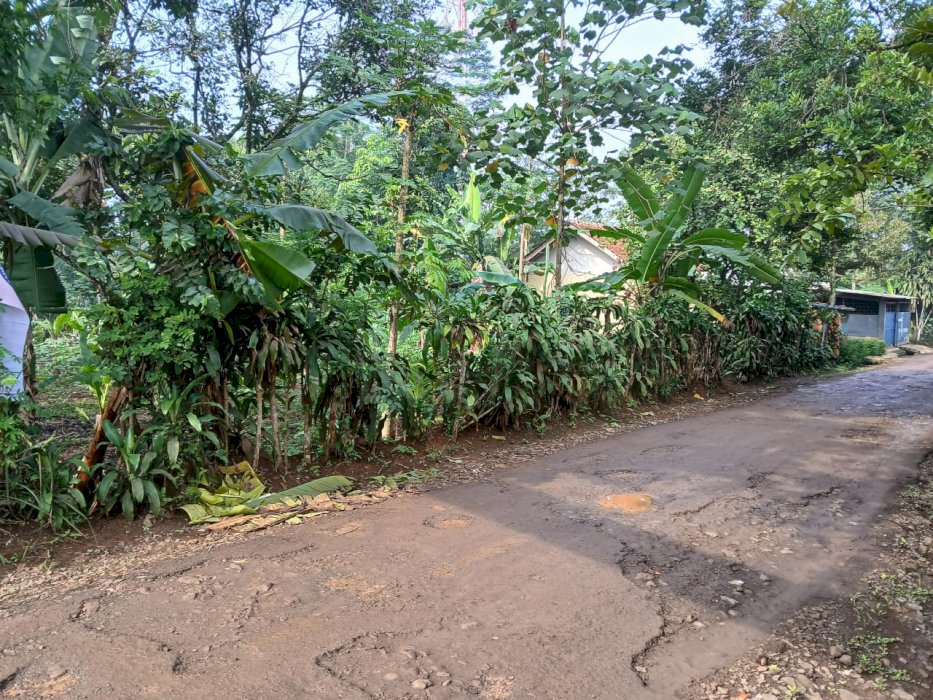 Dijual tanah kebun pinggir jalan luas 905 m udah SHM