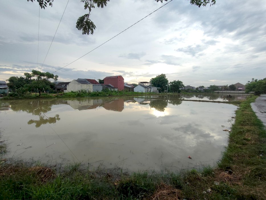 Dijual Tanah Sawah SHM Strategis di Babelan Kab. Bekasi