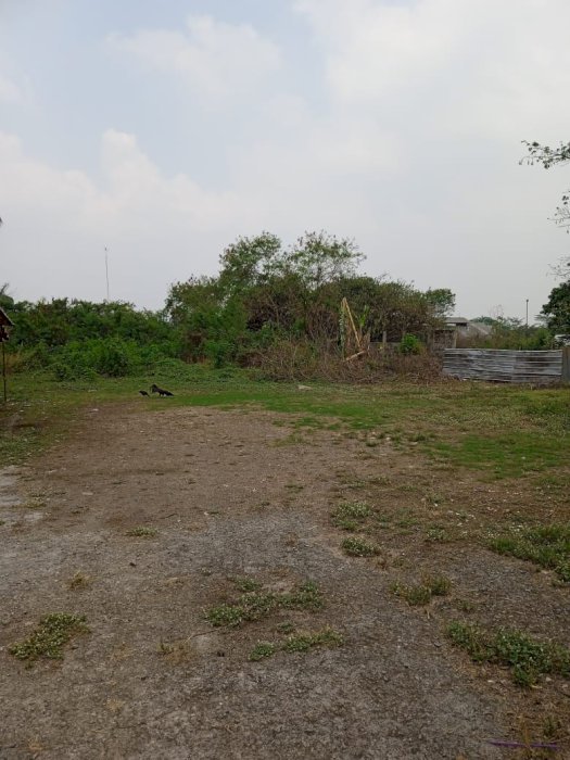 Jual tanah lokasi strategis cocok untuk investasi cibening Purwakarta